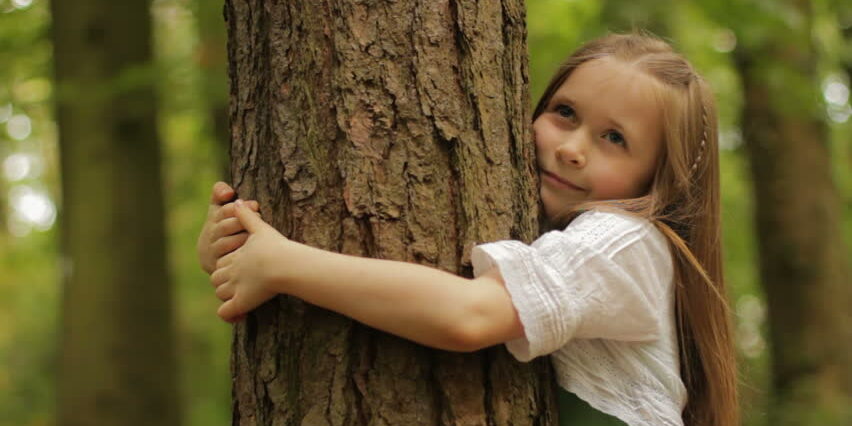 hugging-tree