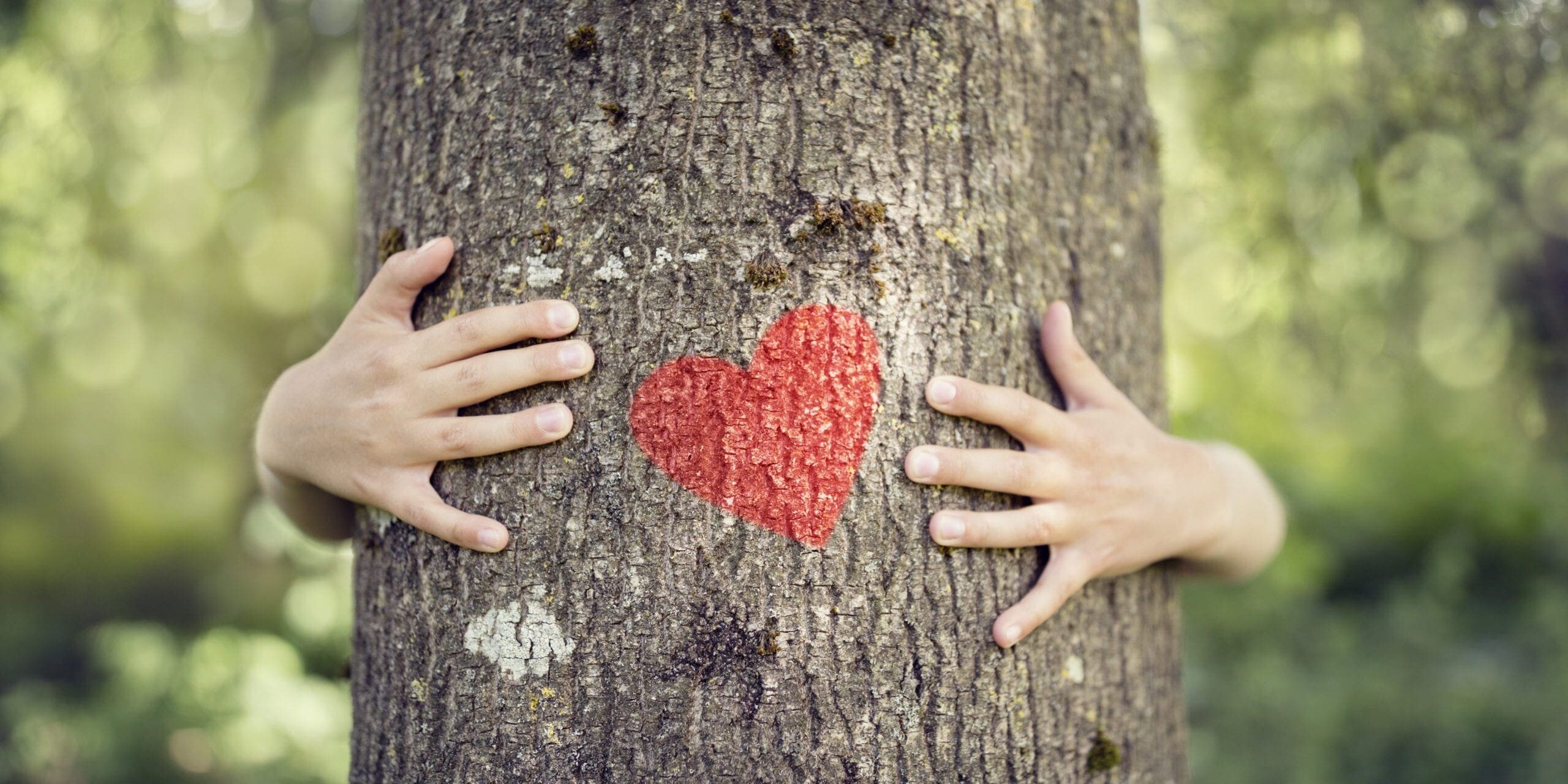 Tree hugging, love nature Tree hugging, little boy giving a tree a hug with red heart concept for love nature