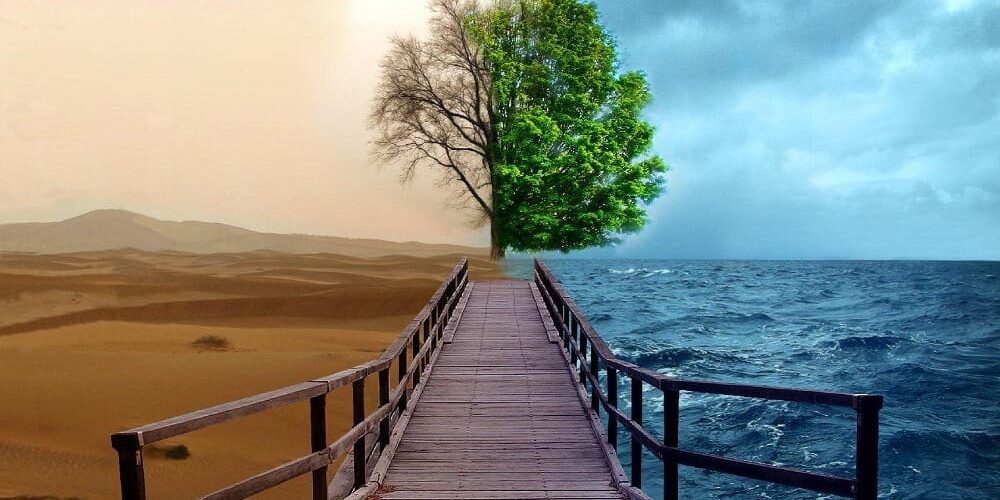 Are-You-a-Bridge-Between-Worlds Are-You-a-Bridge-Between-Worlds