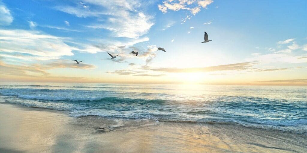 beach-1852945_1280 beach-1852945_1280.