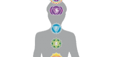 crown-chakra-lotus-229x300 crown-chakra-lotus-229x300