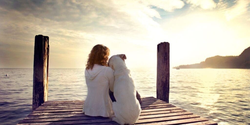 gratitude-happiness-thankyou-peace gratitude-happiness-thankyou-peace