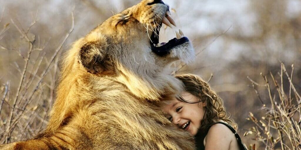 lion-3012515_1280 lion-3012515_1280